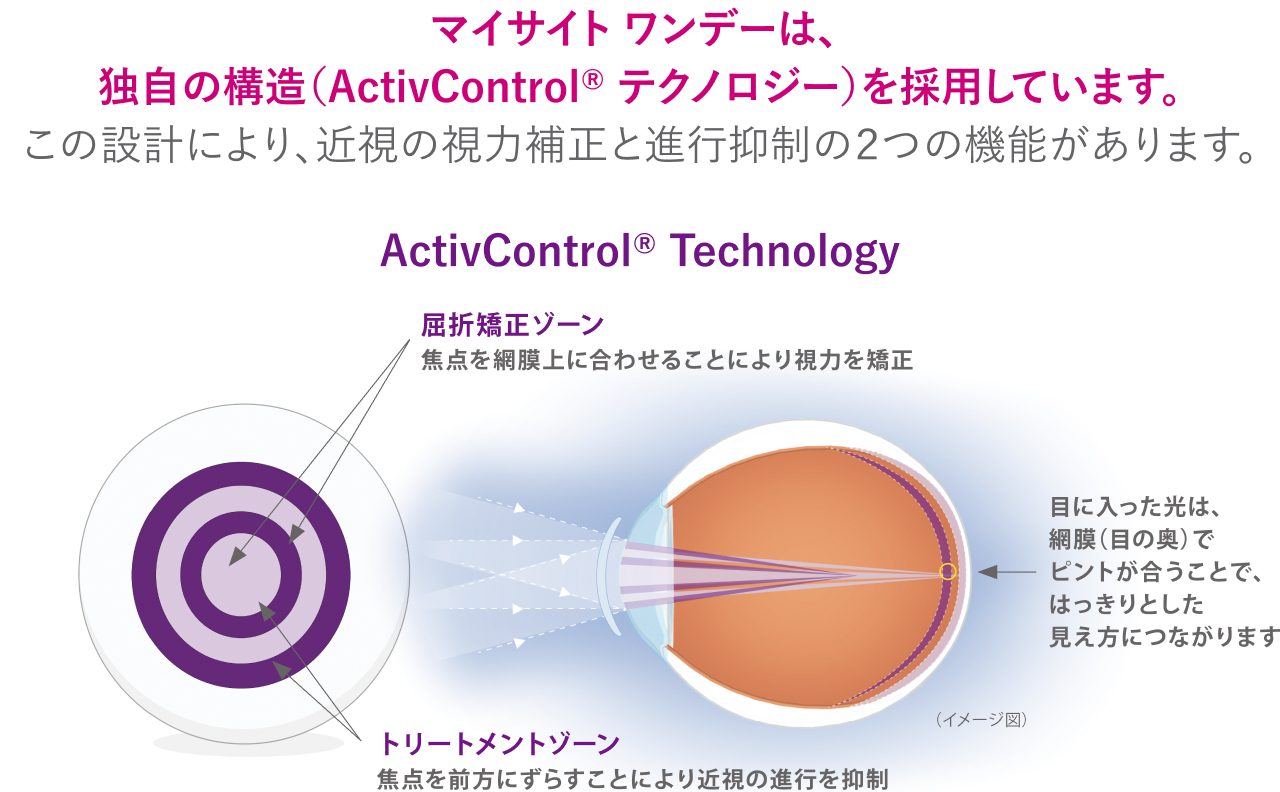 マイサイト構造